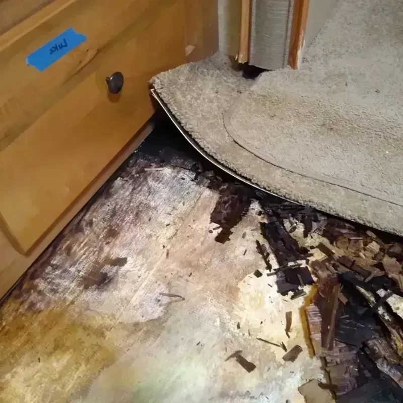 Wood Floor Water Damage in Cumberland, MD